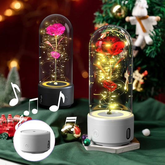 Rose LED Light and Bluetooth Speaker in Glass Dome"love and family